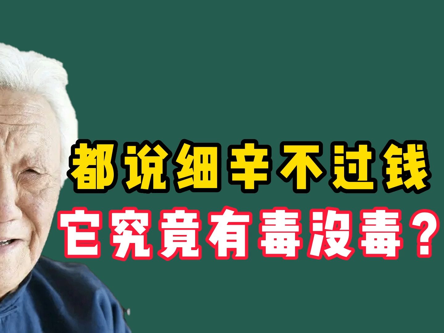 都说细辛不过钱,它究竟有毒没毒?老中医郭生白这样解释!哔哩哔哩bilibili