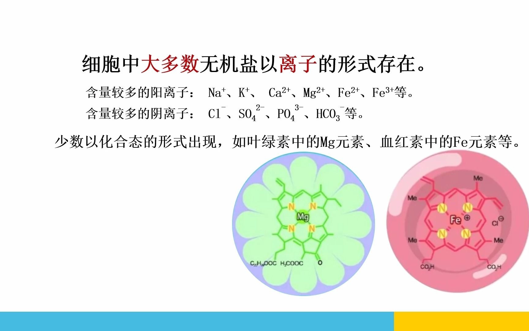 无机盐的存在形式哔哩哔哩bilibili