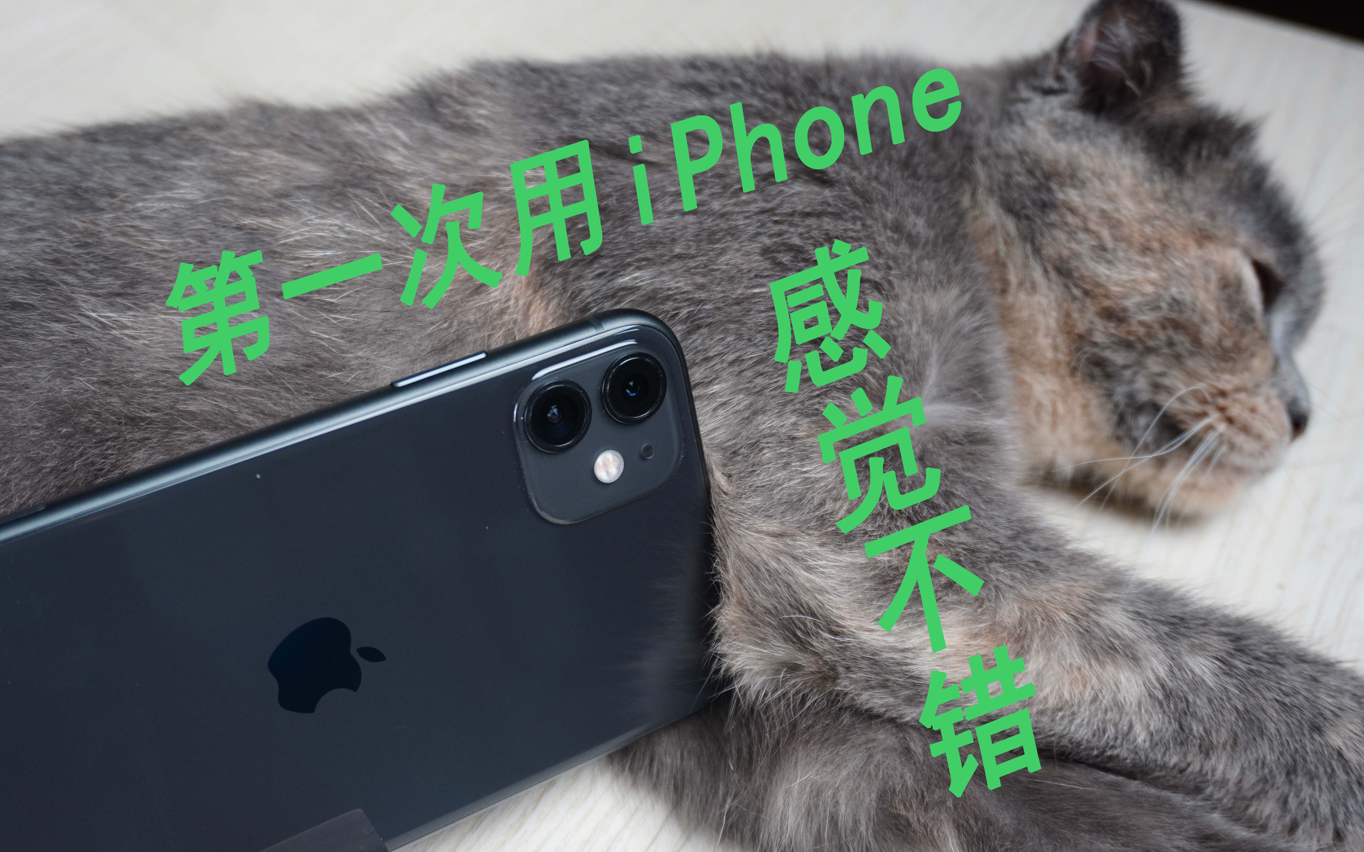 iPhone 11半年使用体验!为什么买iPhone?真有这么好用吗?哔哩哔哩bilibili