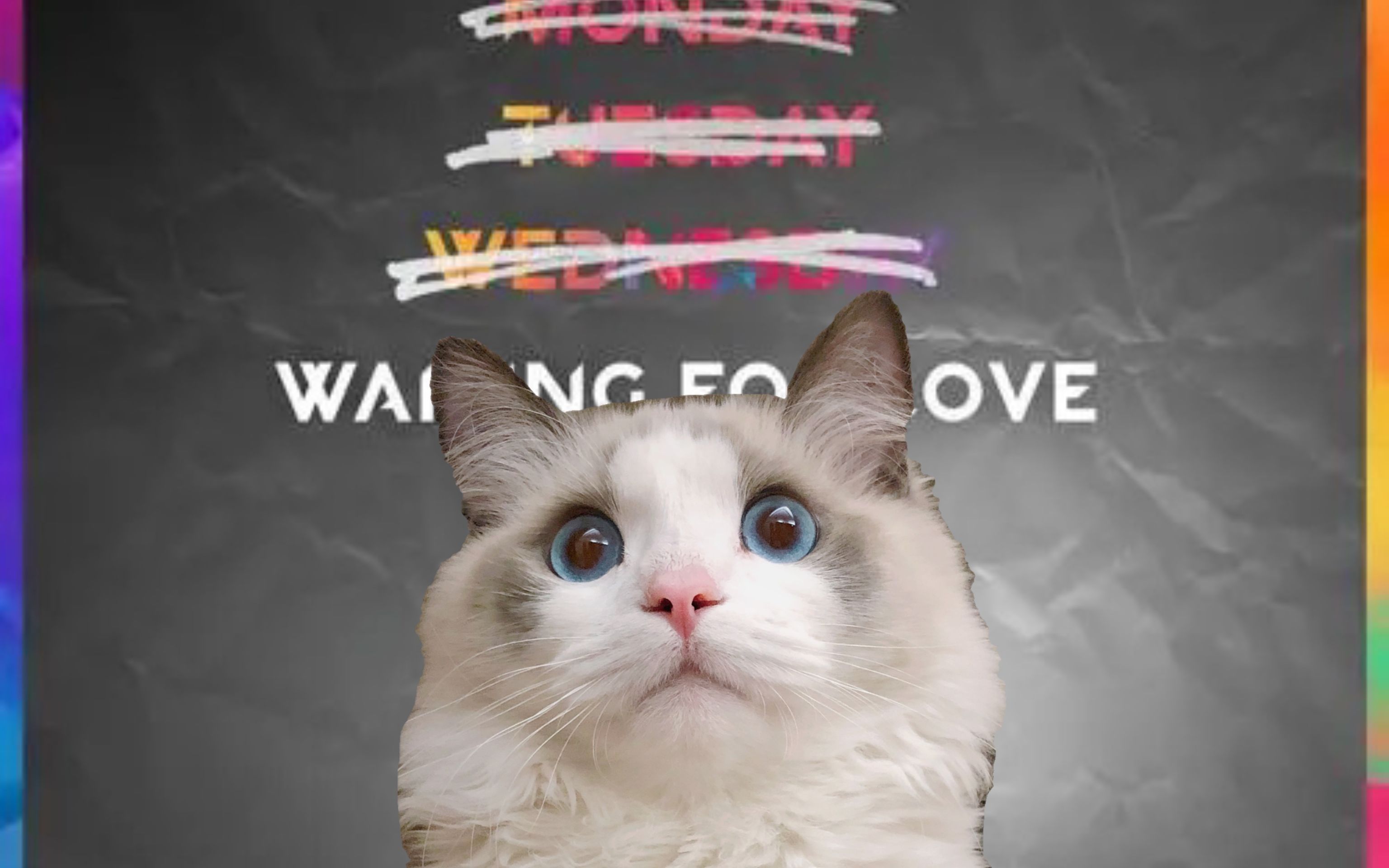 5分钟学唱a神avicii热单《waiting for love》