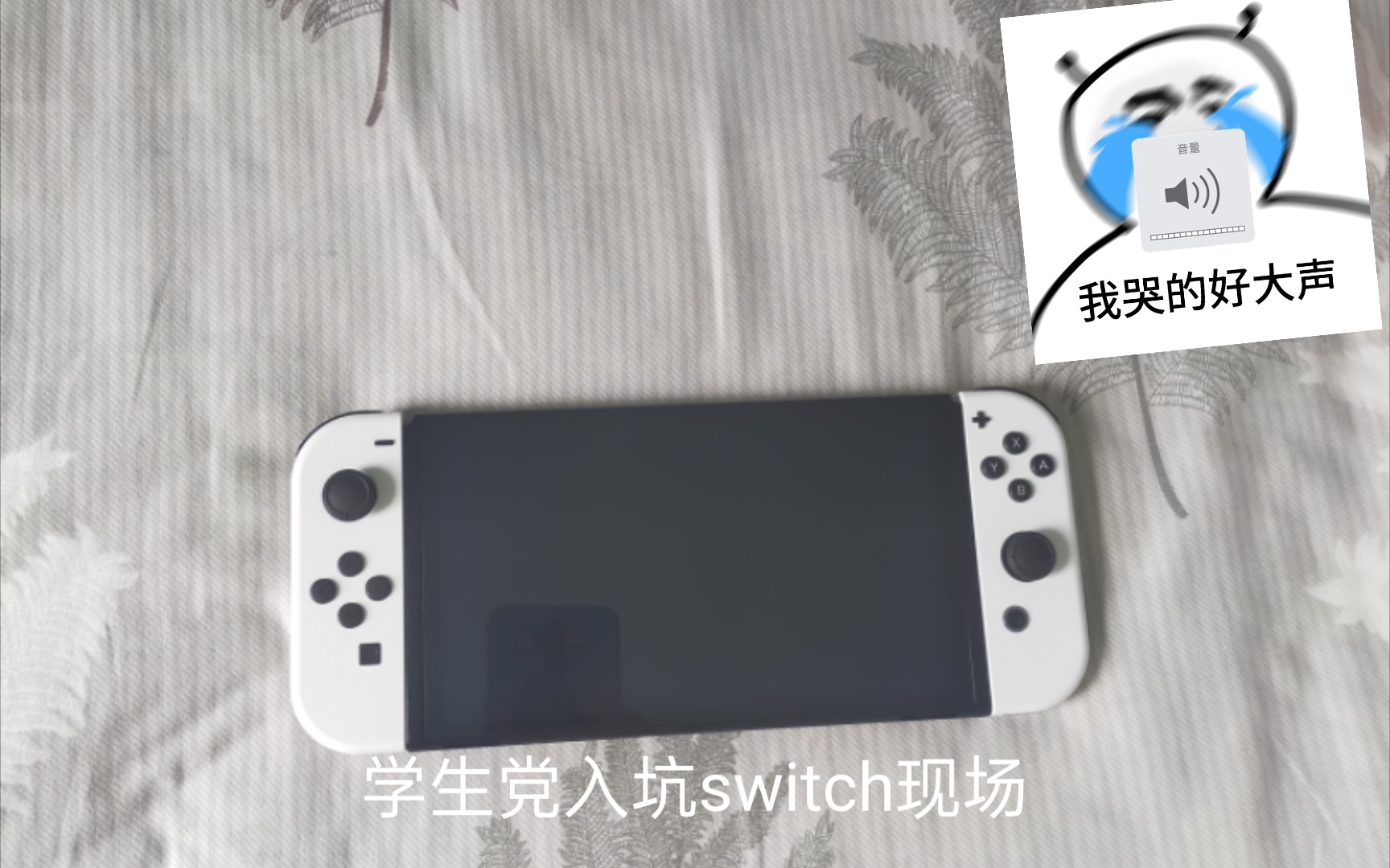 [图]学生党入坑 Switch现状