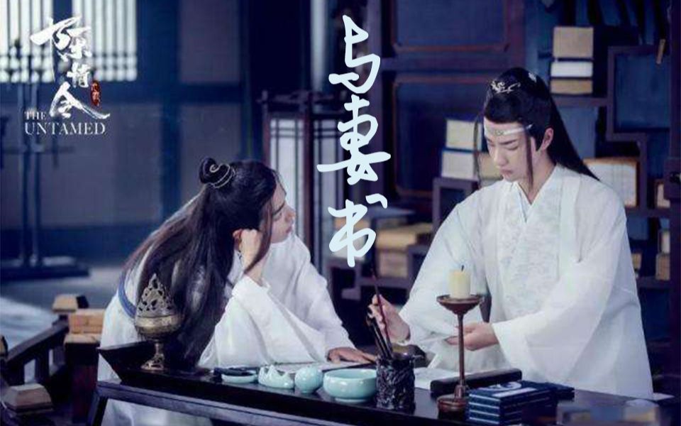 【陈情令|剧忘羡】与妻书,忘机手书哔哩哔哩bilibili