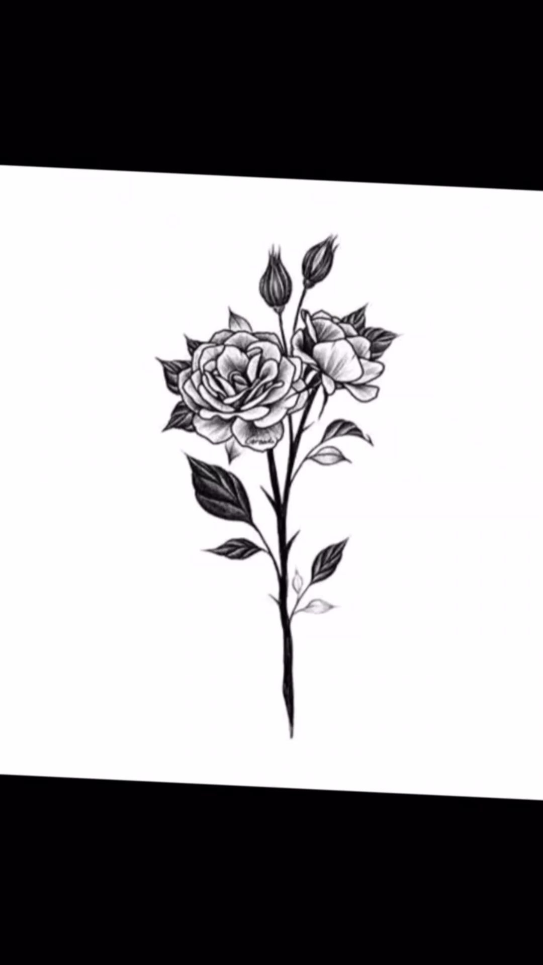 乌鲁木齐纹身刺青工作室天刺良肌纹身纹身素材分享黑玫瑰纹身手稿