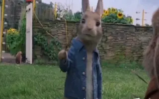彼得兔搞笑日常