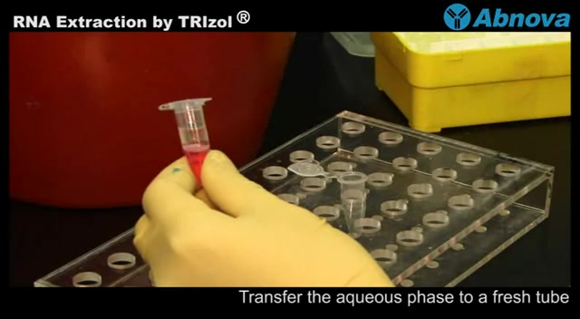 用trizol03提取rna