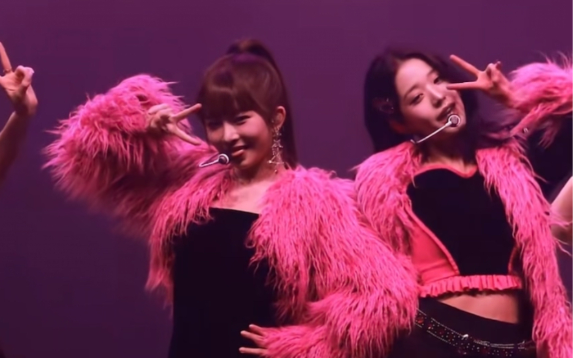 【张元英 直井怜】me too 看看谁更可爱(都好乖)