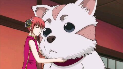 银魂 定春说 我真的很高兴 哔哩哔哩