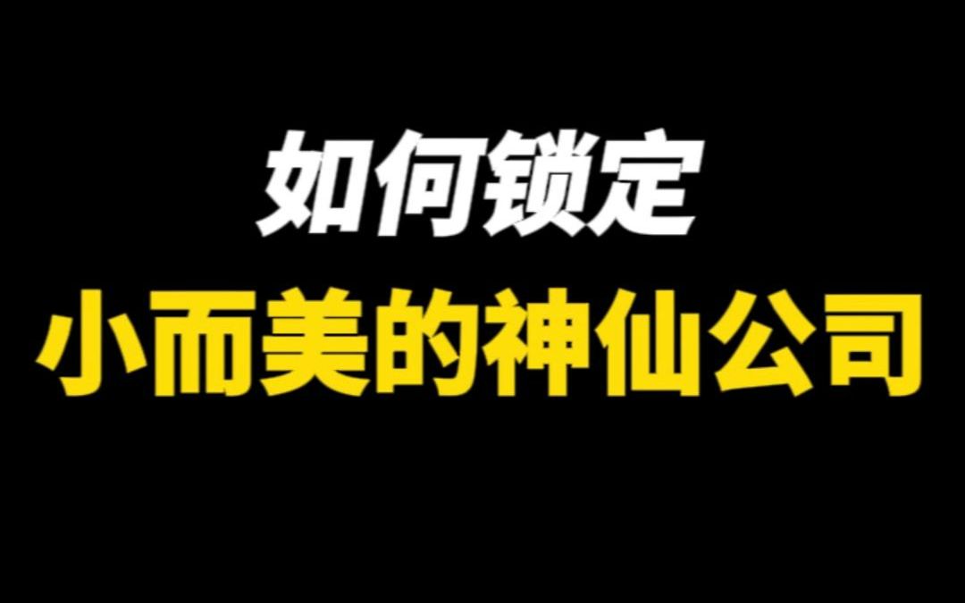 如何找到小而美的神仙公司?哔哩哔哩bilibili