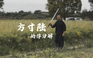 Download Video: 方寸剑六分解动作