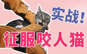 下载视频: 实战！征服咬人猫-猫训练教学1-猫行为纠正性格重塑