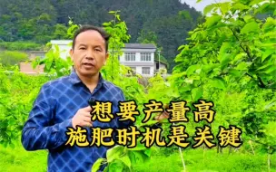 Download Video: 梨树施肥要趁早，才能促进叶片数量多面积大，光合能力强，才能有好的产量和品质。