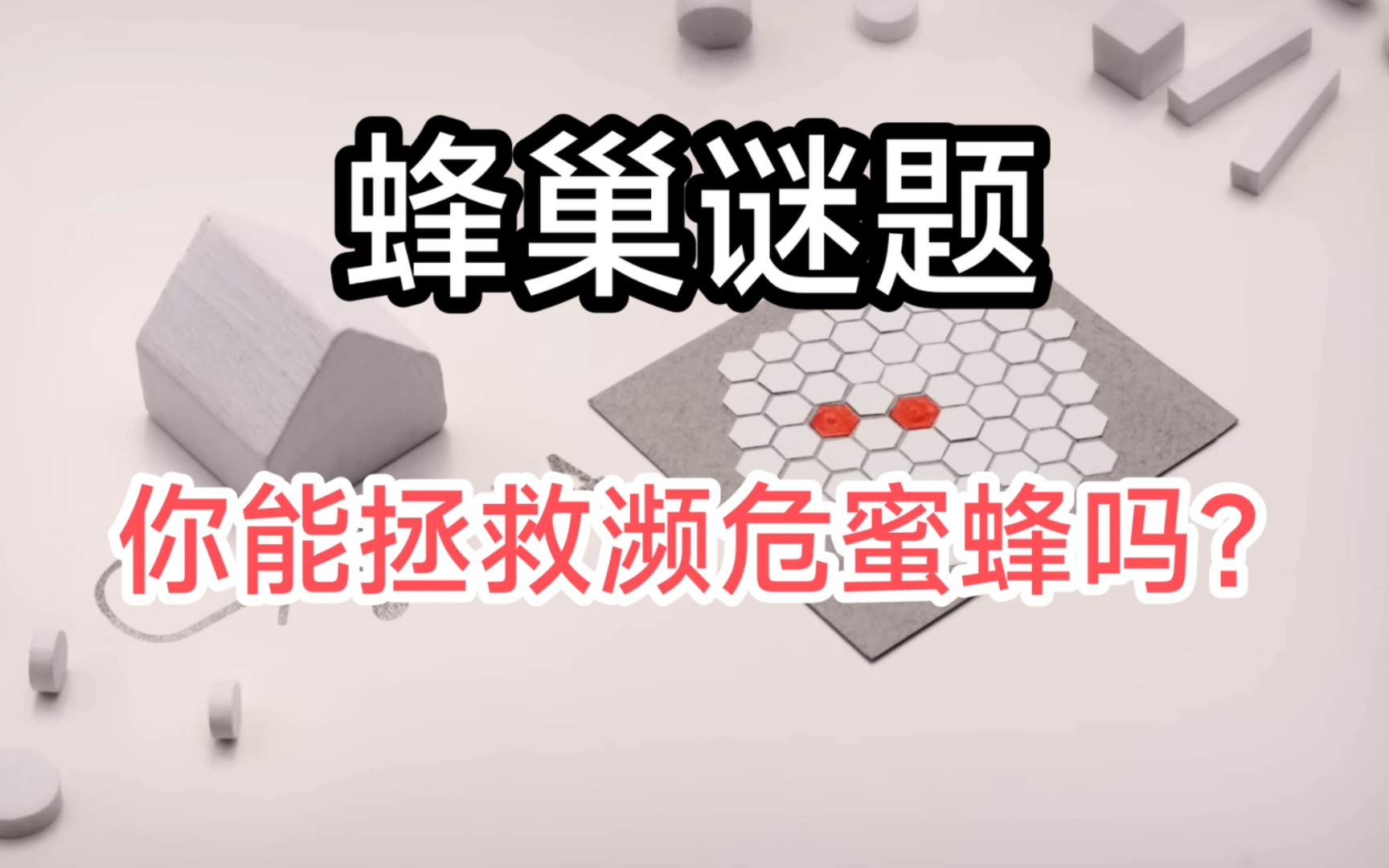 蜂巢谜题:你能拯救即将灭绝的濒危蜜蜂吗?哔哩哔哩bilibili