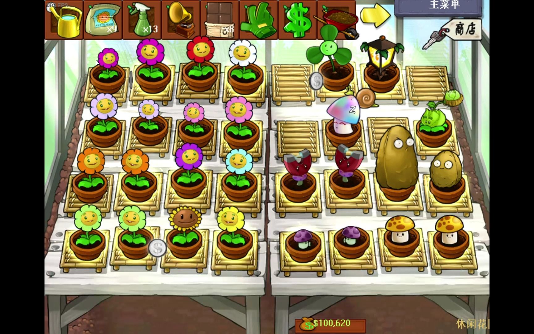 睡觉的魅惑菇好可爱啊