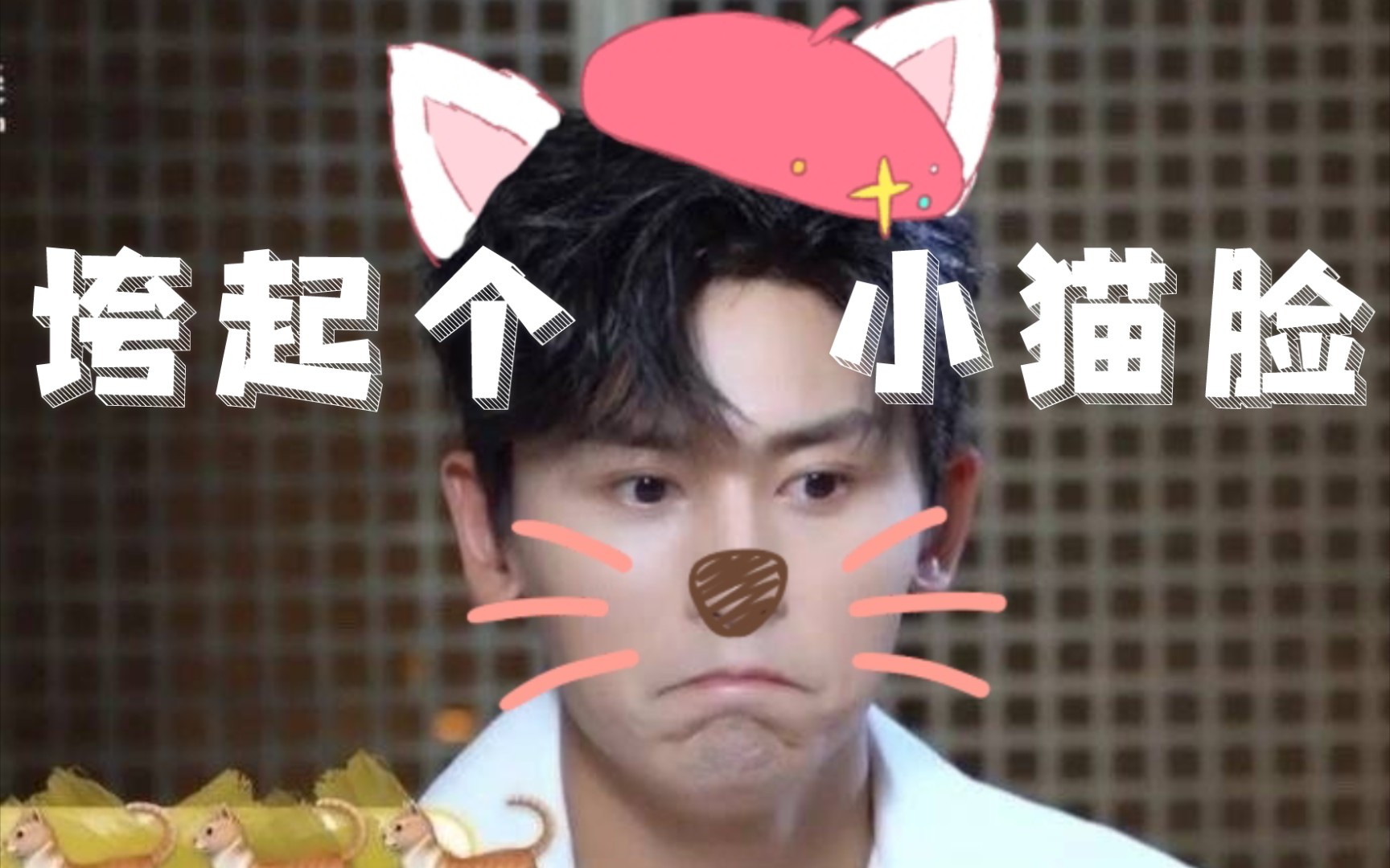 活动作品张哲瀚大事不好搞到真的猫猫了