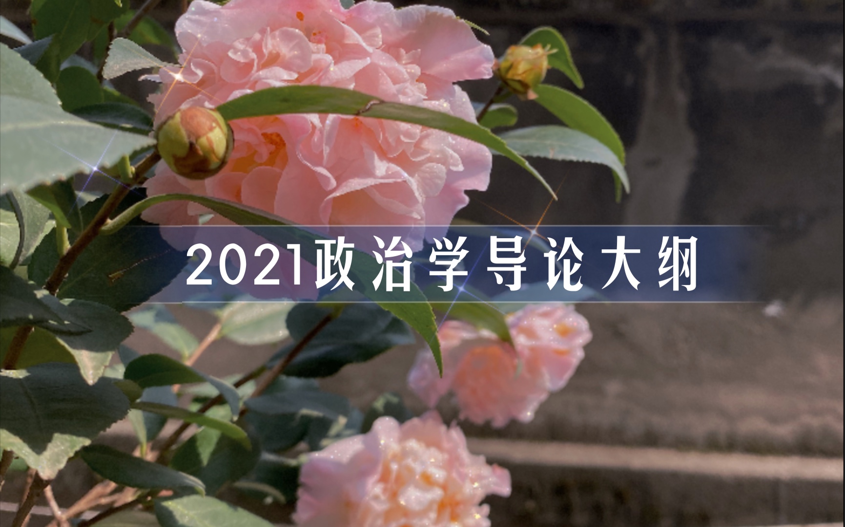 2021政治学导论大纲哔哩哔哩bilibili