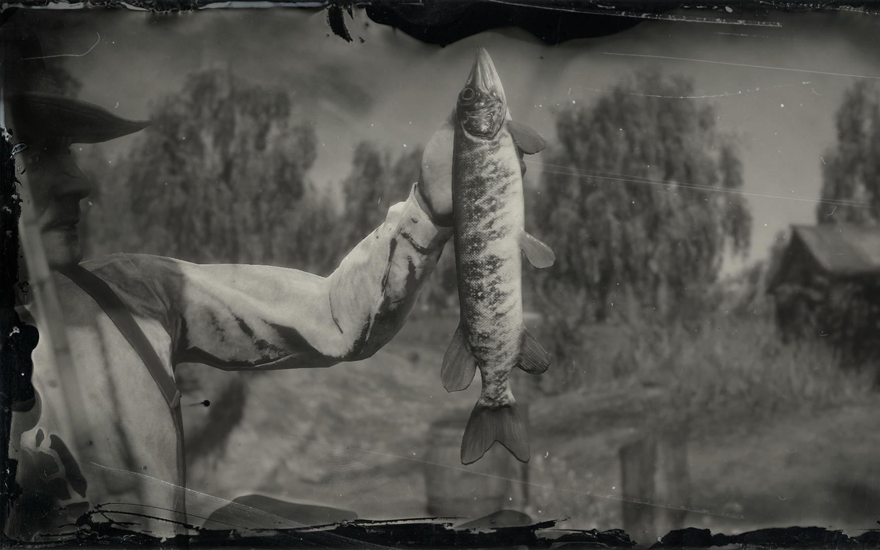 荒野大镖客2 传说带纹狗鱼(约翰)