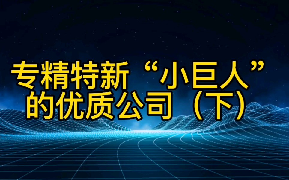 专精特新“小巨人”的优质公司(下)哔哩哔哩bilibili