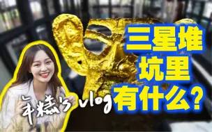 Download Video: 【VLOG】挖掘现场大公开！ 第一视角带你逛三星堆