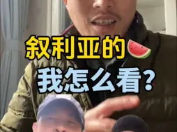 Download Video: 叙利亚的瓜我怎么看？作为曾经也是海外博主的我，给出全网最理性的讲解