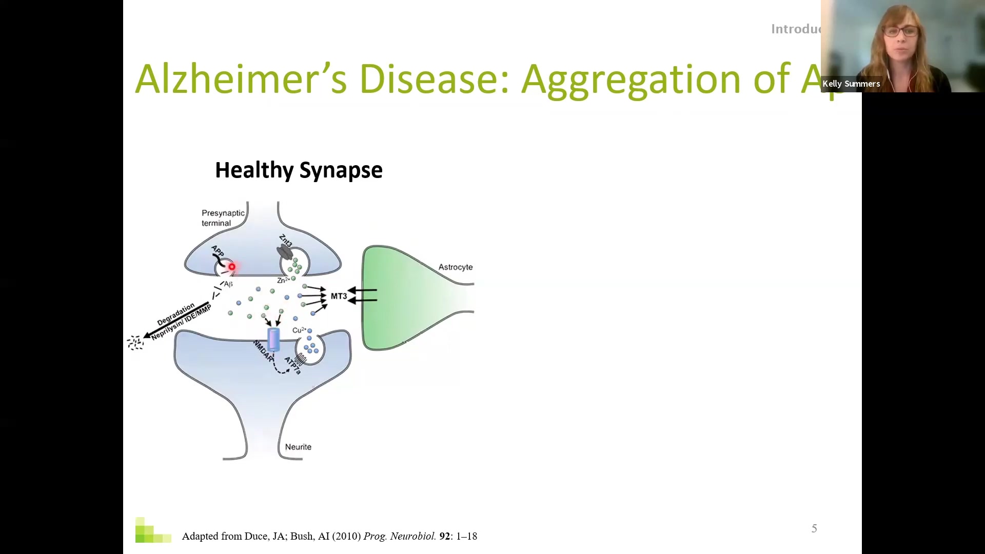 [图]Biological and Biomedical uses of XAS - 【Global XAS Journal Club】