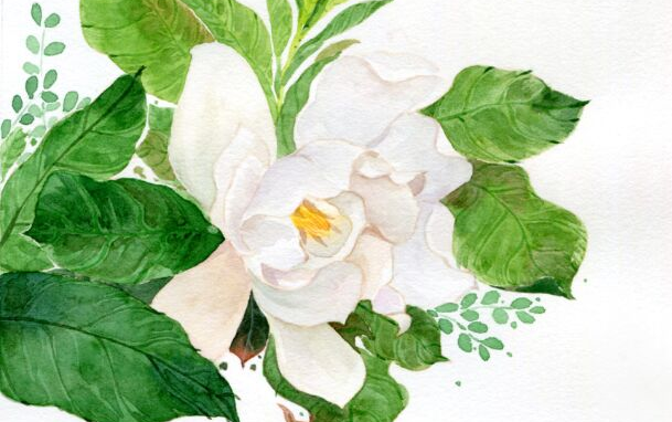 【水彩植物】栀子花_哔哩哔哩 (゜-゜)つロ 干杯~-bilibili