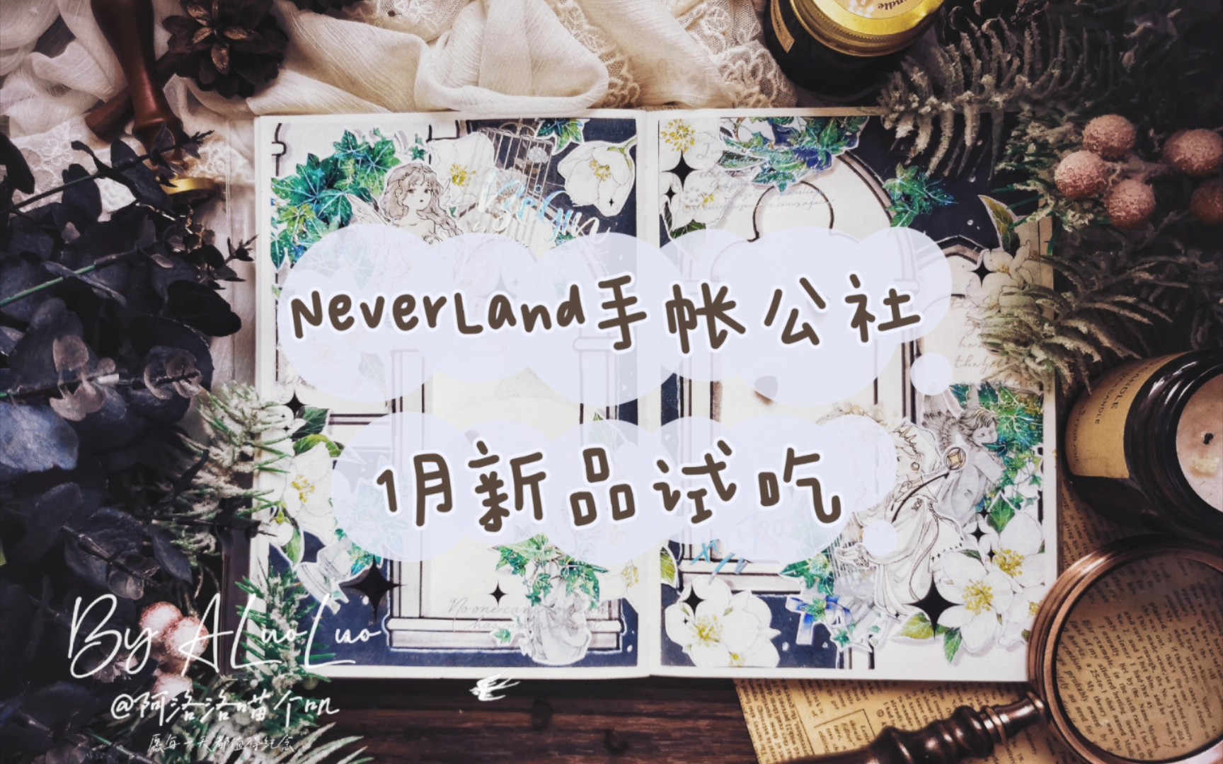 超美绝绝子花砖背景!实用复古文字!NeverLand1月新品试吃!哔哩哔哩bilibili