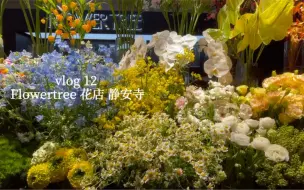 Download Video: vlog 12 上海最美花店之 Flowertree 静安寺