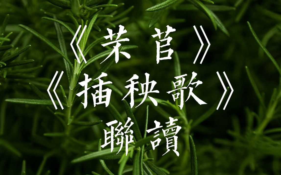 [图]联读教学 | 《芣苢》《插秧歌》联读公开课怎么上?