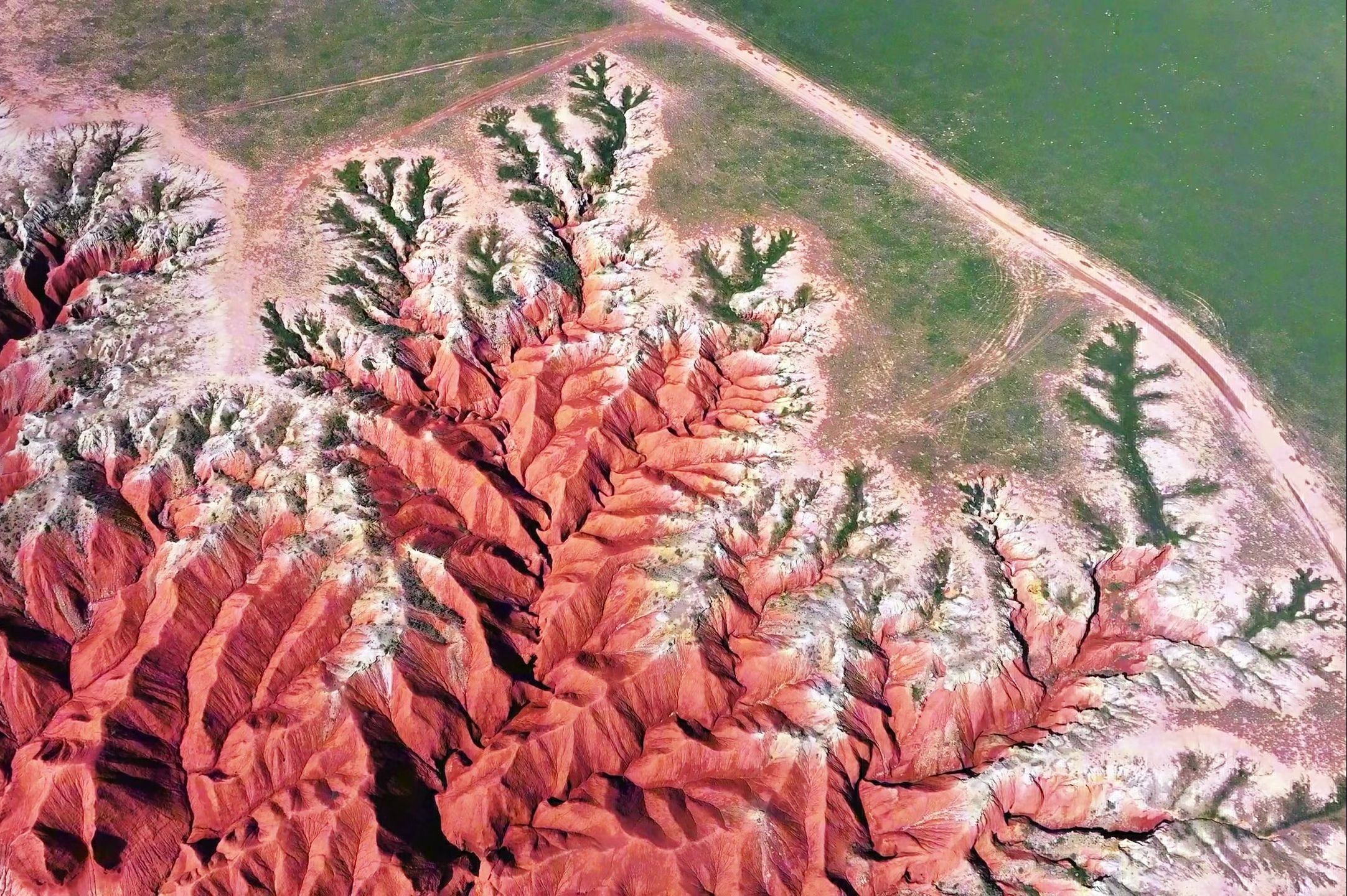 大红山#内蒙古苏尼特右旗