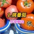 【菜市场】番茄炒蛋简单？你真的会做吗？