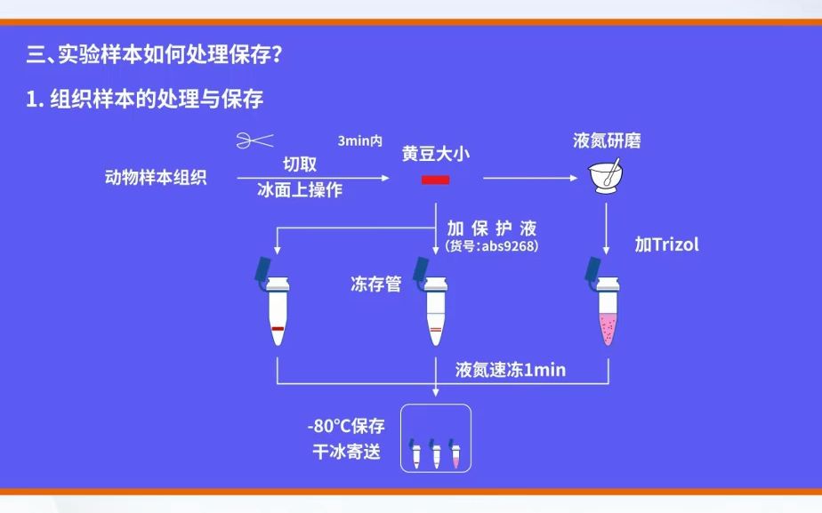 分子克隆实验全流程1——样本保存哔哩哔哩bilibili