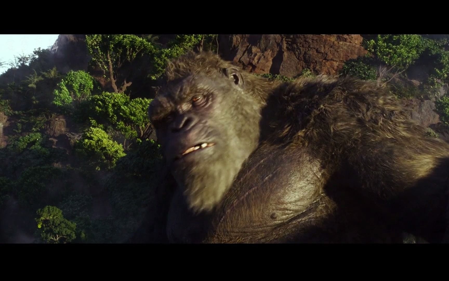 【金刚高燃混剪】骷髅岛靓仔的逆袭之路,劲爆