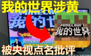 下载视频: 我的世界居然涉黄！被央视点名批评！