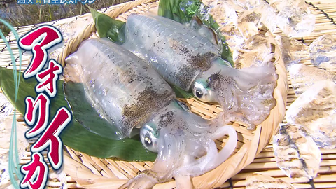 搜索 哔哩哔哩 つロ 干杯 Bilibili 搜索 哔哩哔哩 つロ 干杯 Bilibili