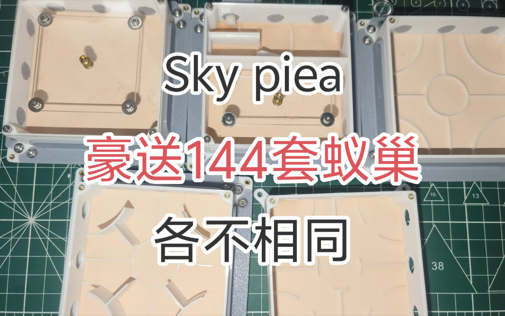 【蚁巢】SkyPiea 百变万能巢(豪送144套蚁巢) 蚂蚁,万能巢,3d打印巢,试管巢,白菜巢,亚克力巢,混泥土巢,石膏巢,铺地巢,土巢,收获蚁.哔...