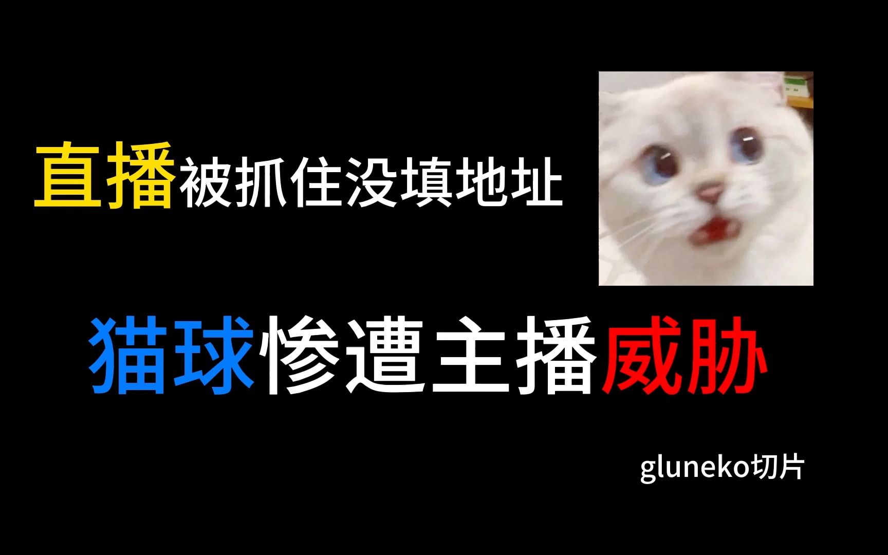 [图]【gluneko|切片】记一次没填地址被逮捕现场