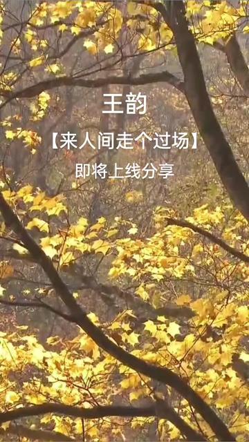 @王韵 版本【来人间走个过场】即将上线各大音乐平台哔哩哔哩bilibili