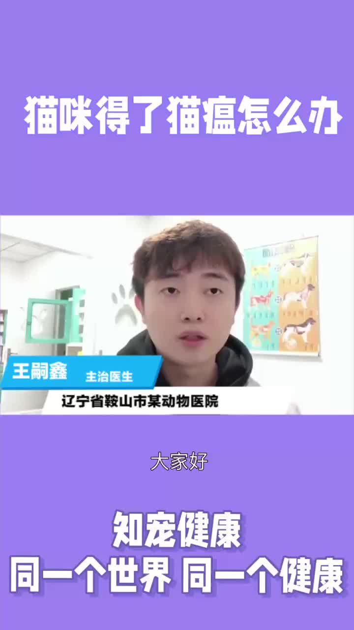 猫咪得了猫瘟怎么办哔哩哔哩bilibili