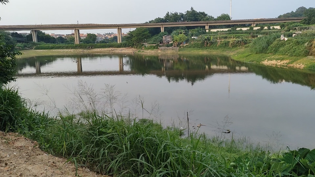 [图]池塘倒影天空，飞鸟盘旋，还有去远方的桥。