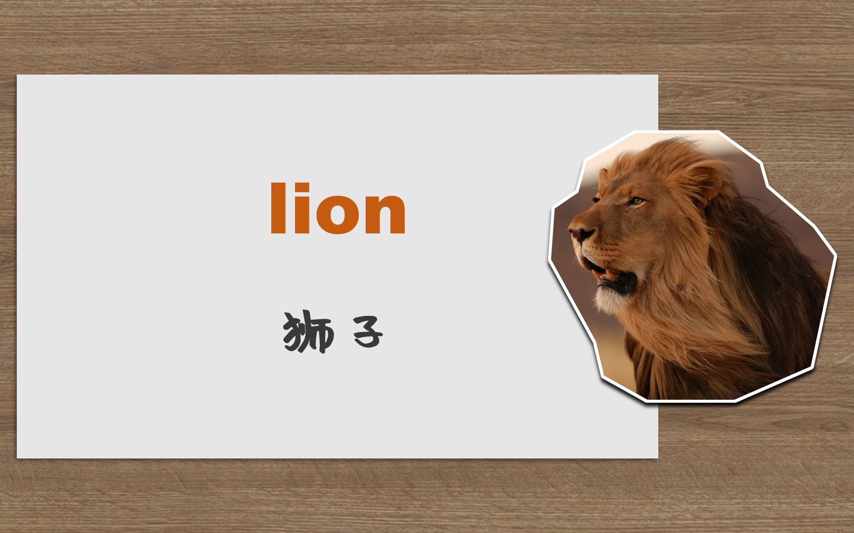 趣味英语/第八期/lion狮子哔哩哔哩bilibili