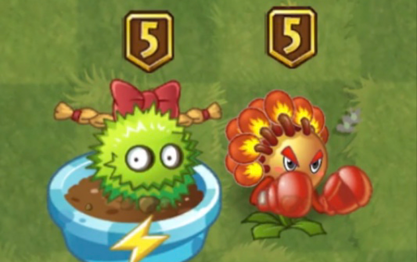 【植物大战僵尸2】【板栗小队&火柴花拳手】2.50版本新五阶实测