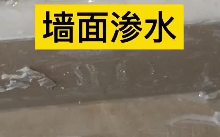 广州越秀区房子墙壁渗水怎么办 水管破裂漏水墙面渗水 外墙体渗水怎么处理哔哩哔哩bilibili