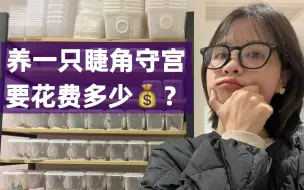 爬宠日记14｜养一只睫角守宫要花费多少钱？