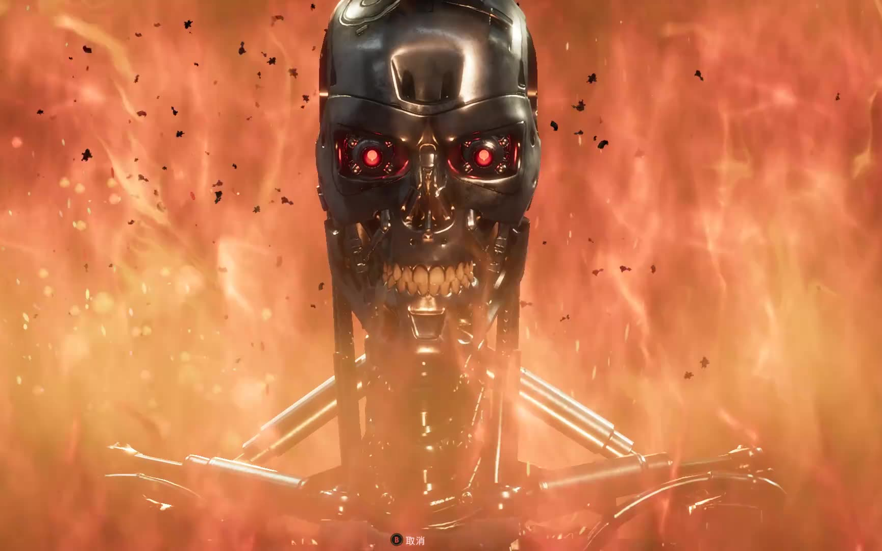 [真人快打11]终结者出场介绍与胜利姿态一览