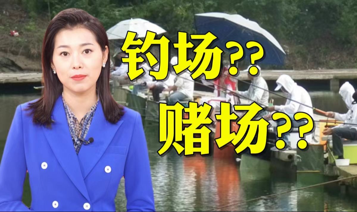 标鱼一条最高60万?钓场变“赌塘” 到底谁钓谁?【主播说三农】哔哩哔哩bilibili