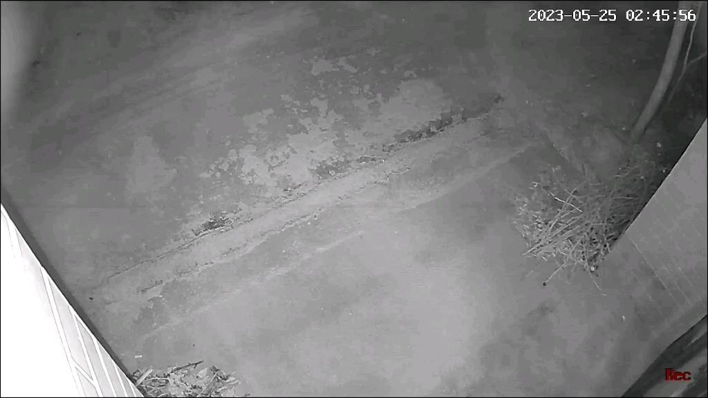 监控视角拍摄回放:三更半夜开着面包车偷东西的小偷