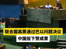 联合国高票通过巴以问题决议，中国投下赞成票