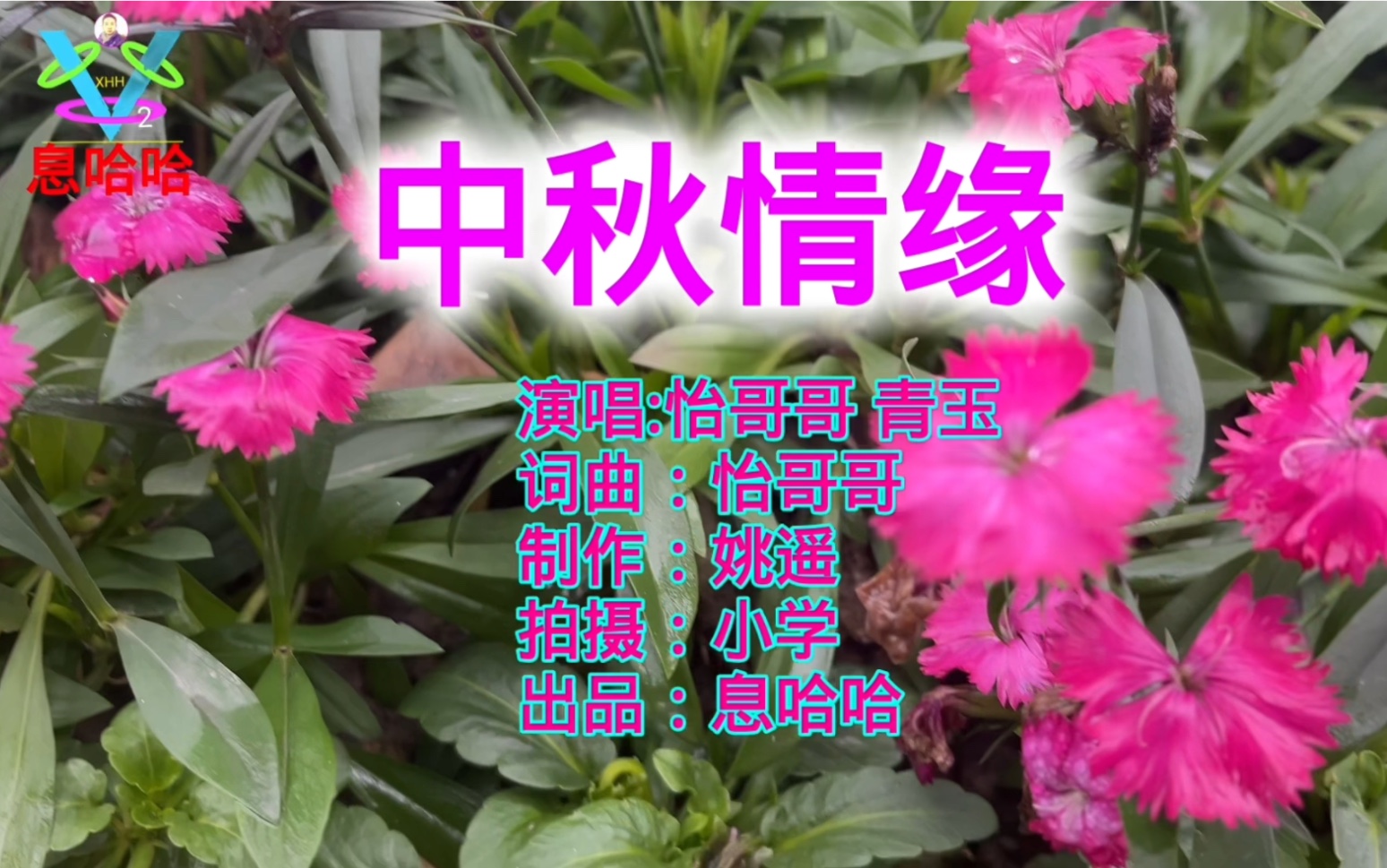 [图]赏花听歌 一首《中秋情缘》歌曲展播 百花盛开