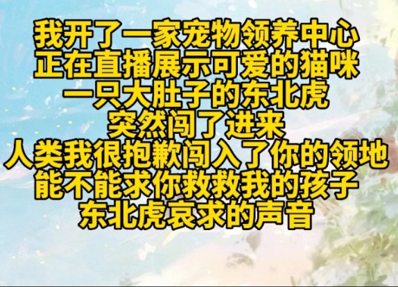 《白夕乐园》我开了一家宠物领养中心正在直播展示可爱的猫咪一只大肚子的东北虎突然闯了进来人类我很抱歉闯入了你的领地能不能求你救救我的孩子东北...