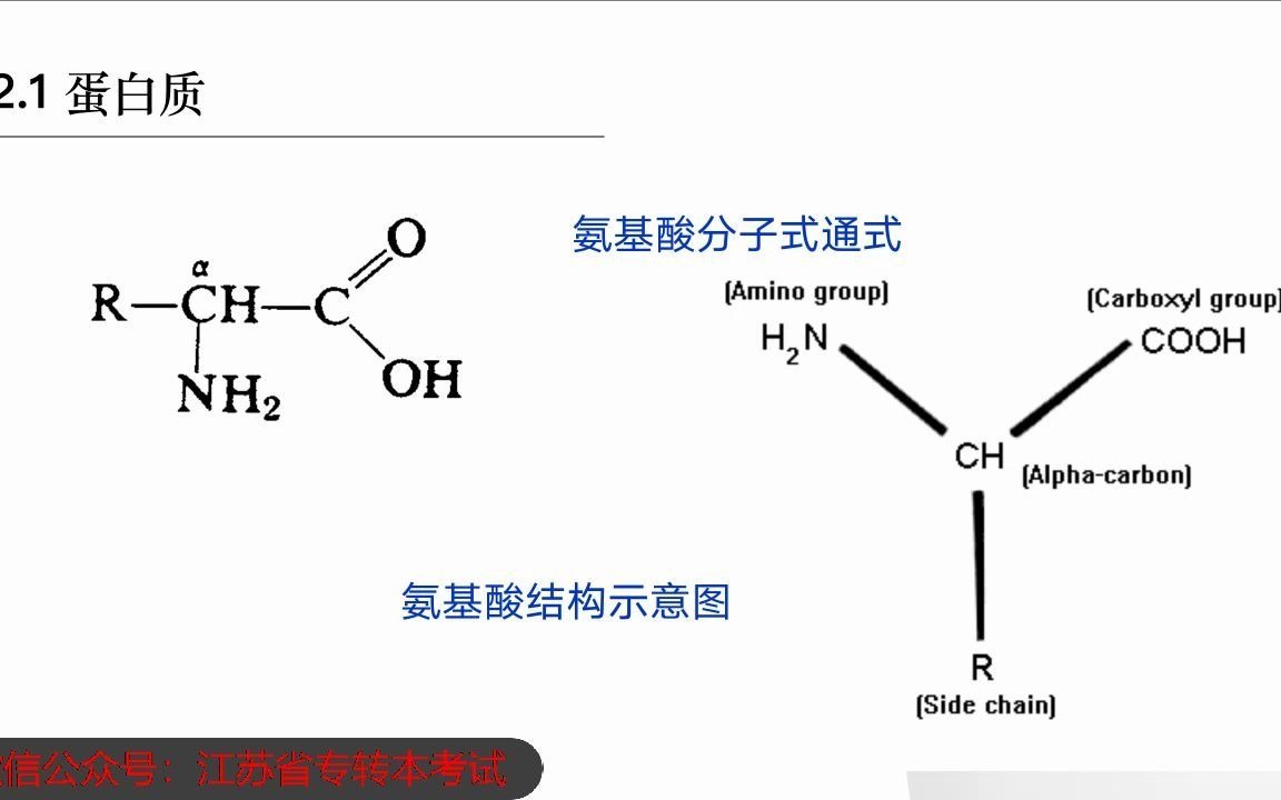 [图]2022年江苏专转本----默默学食品类专业课试看